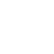 ELECTRICAL INSPECTION WHITE Electrical Inspection