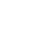 VALVE INSPECTION WHITE Valve Testing